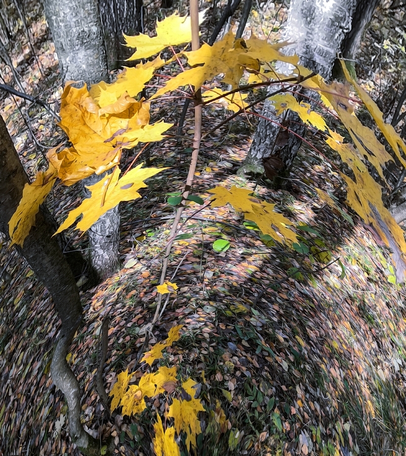 Головокружение.