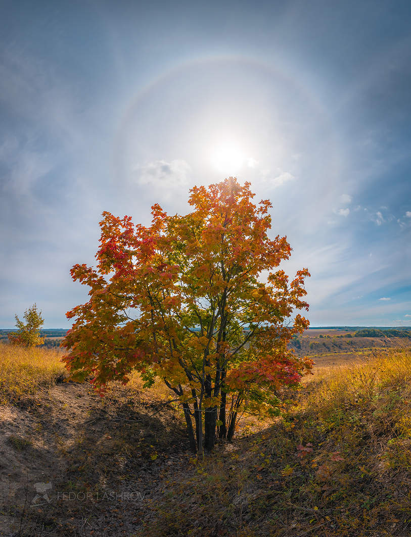 Осеннее гало