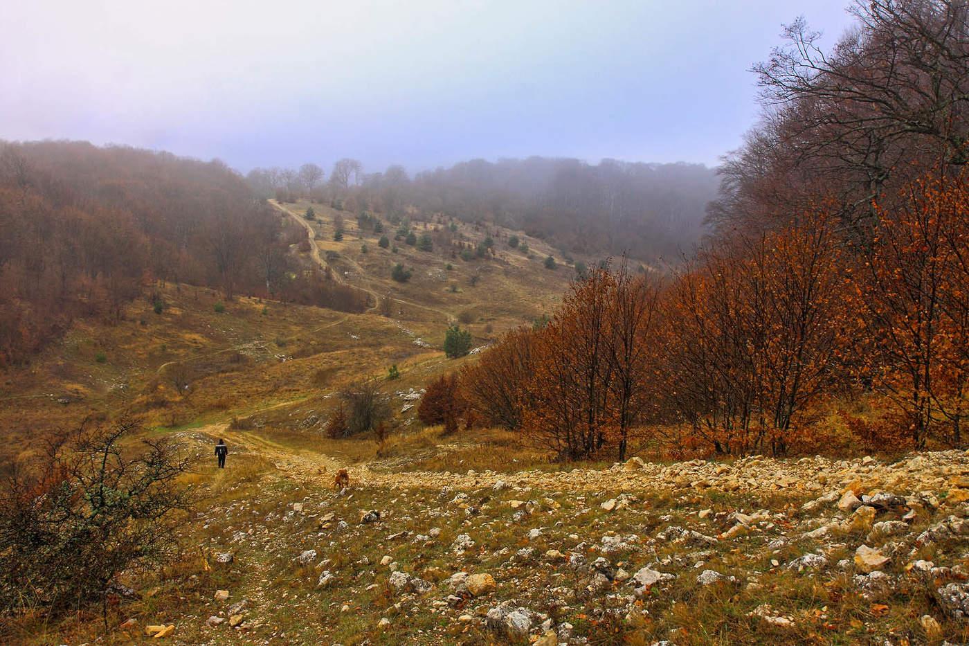 Осень на Суате