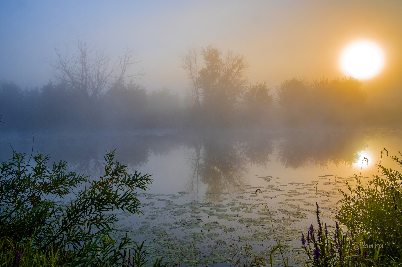 На озере Студёное.