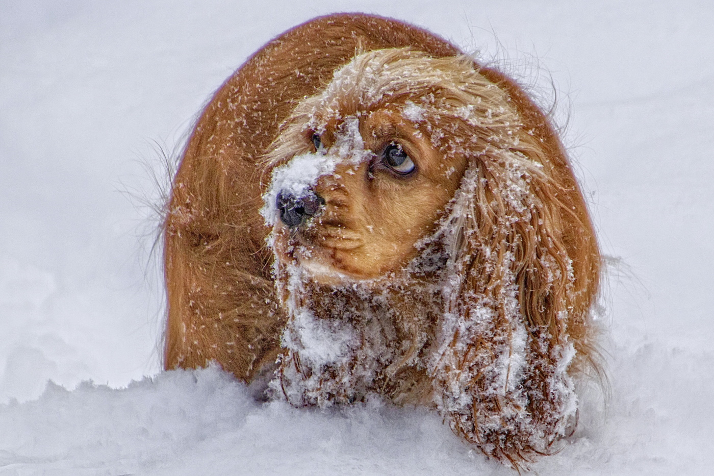- И что опять не так ?