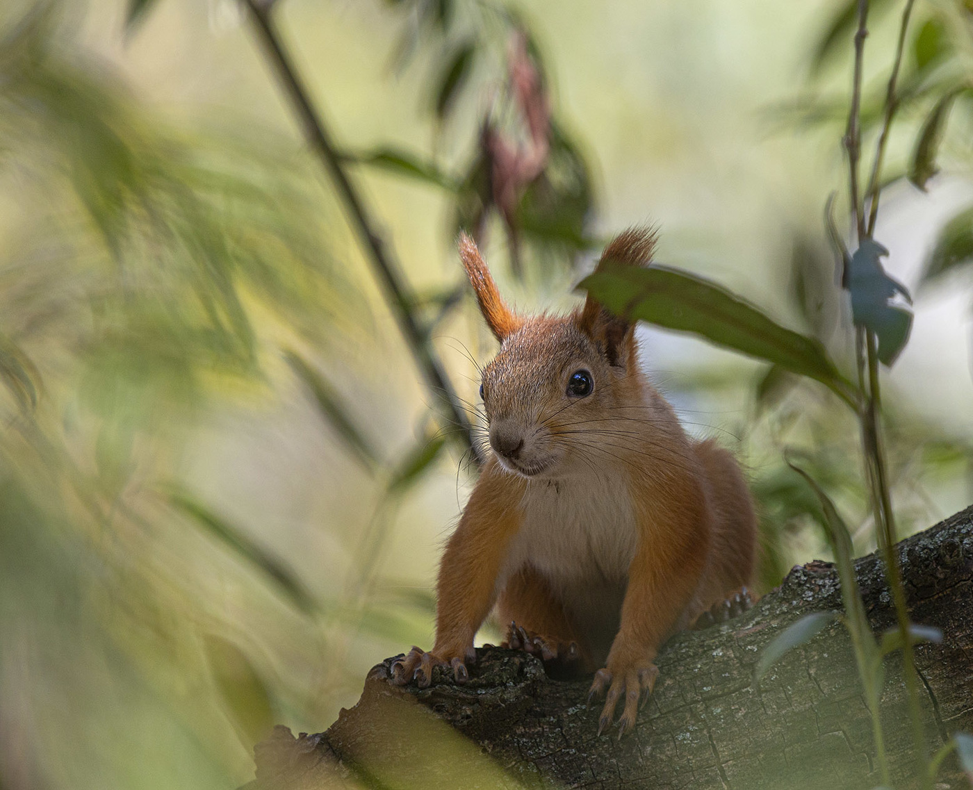 Мы с тобой одной крови