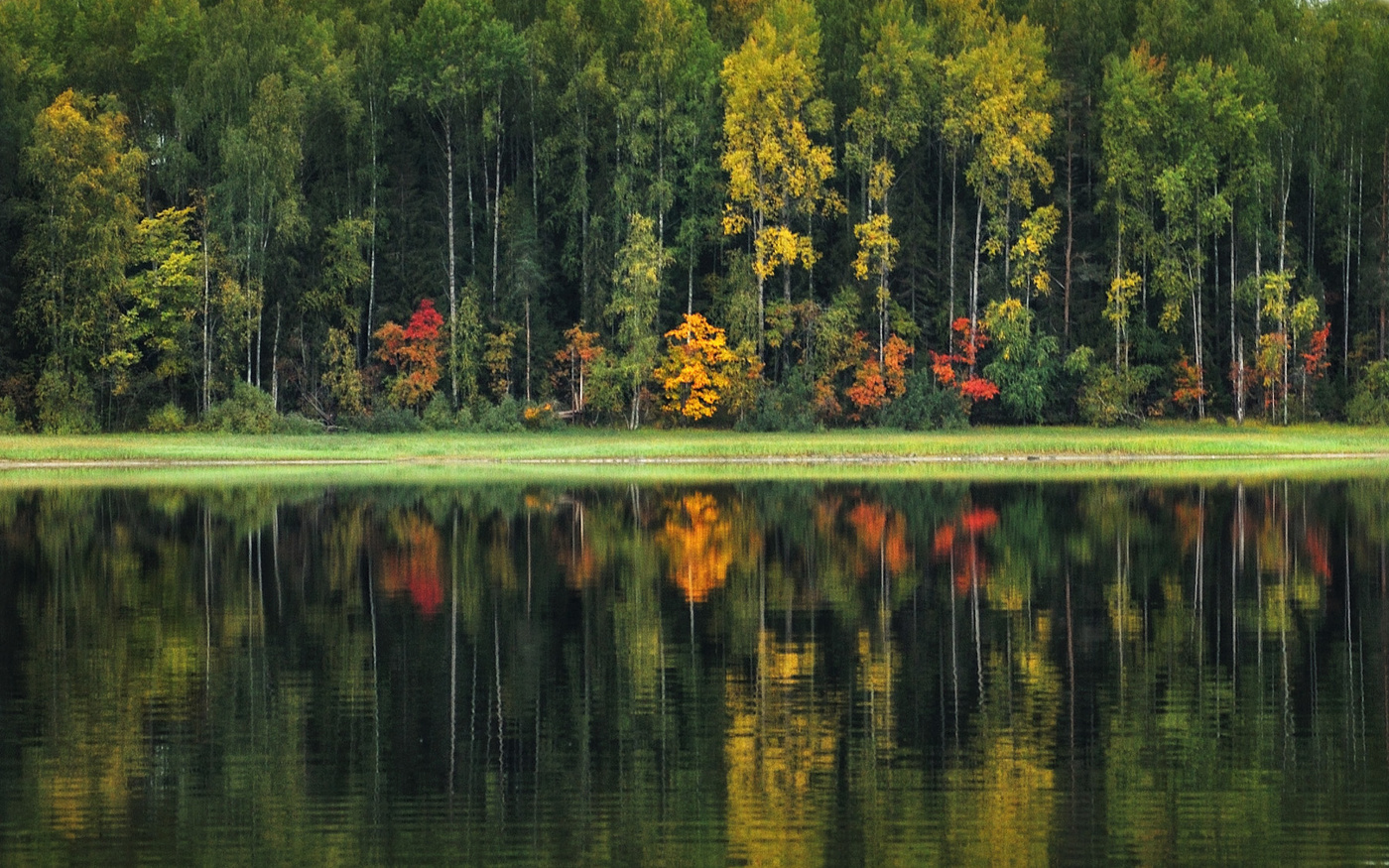 Осенний берег.