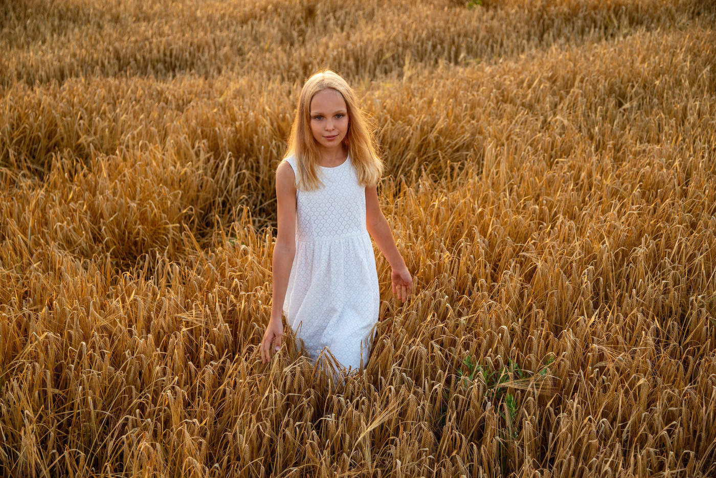 Море колосьев