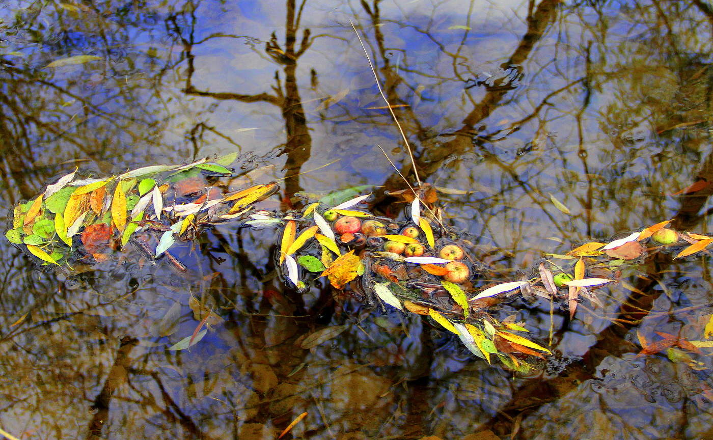 Осенний этюд!