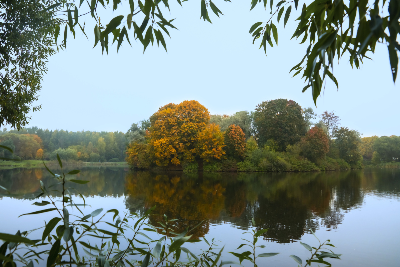 Окно в осень