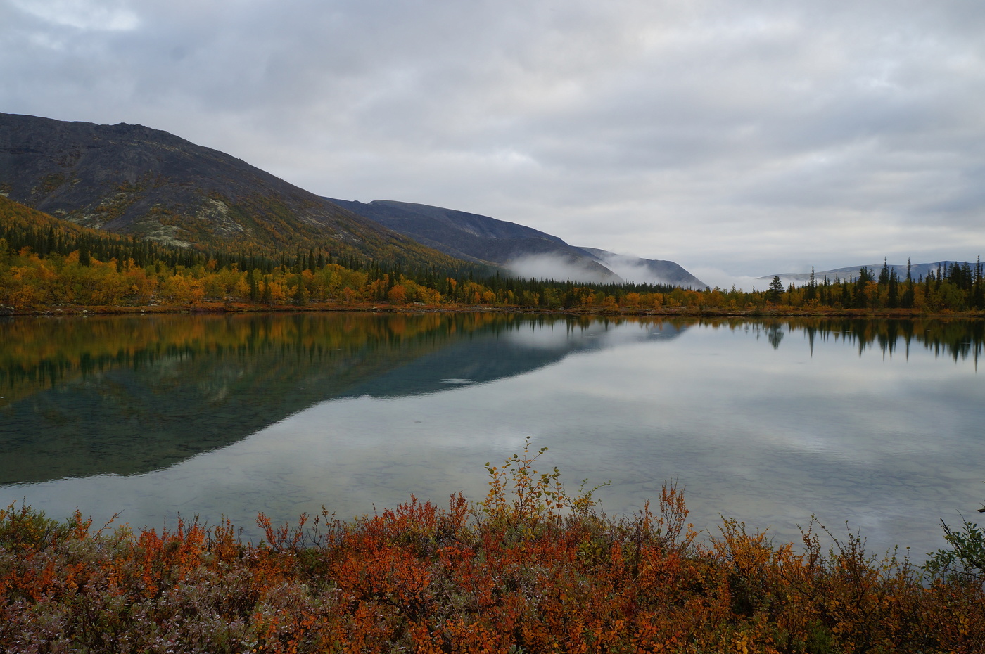 Вслед туману