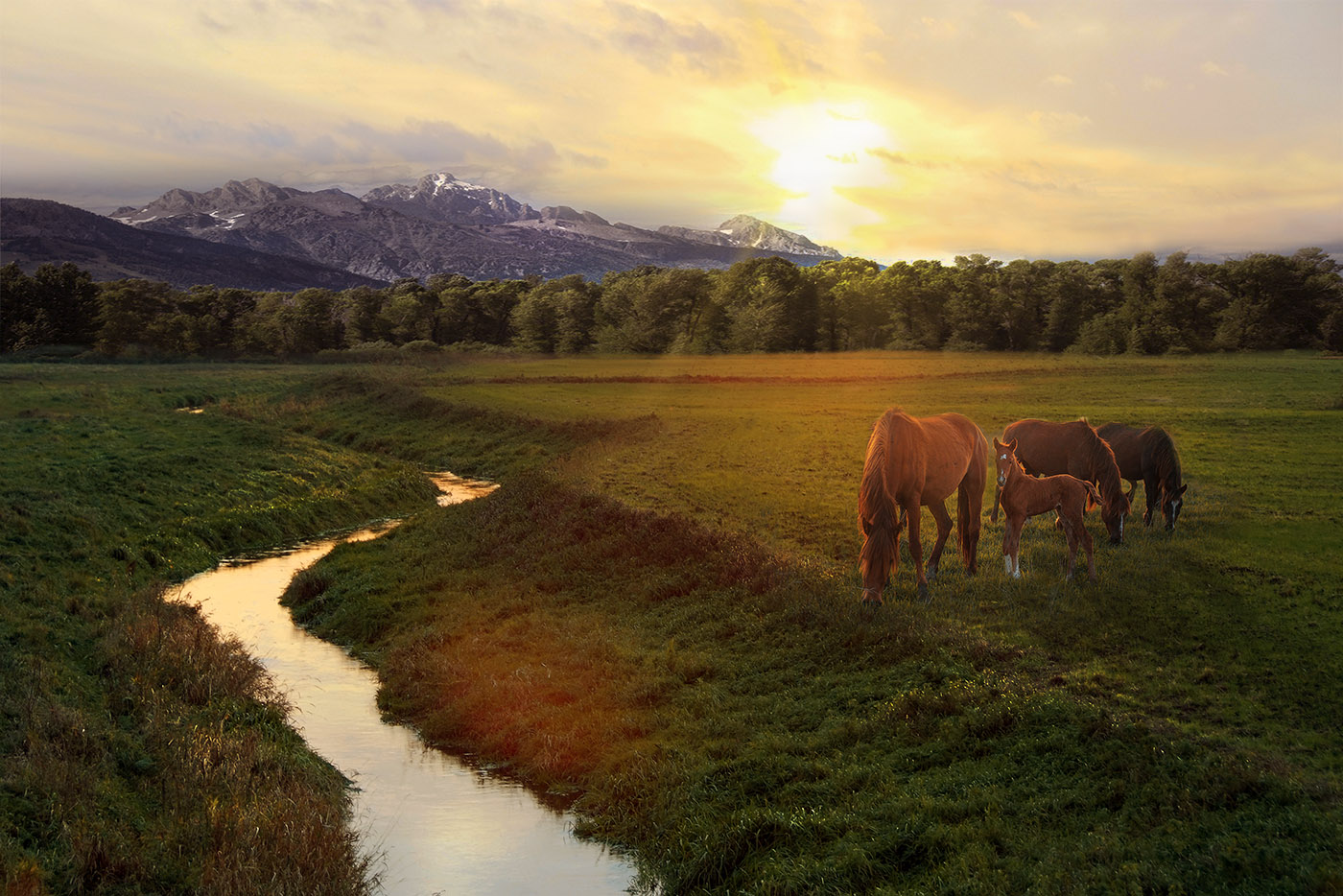 У ручья вечером
