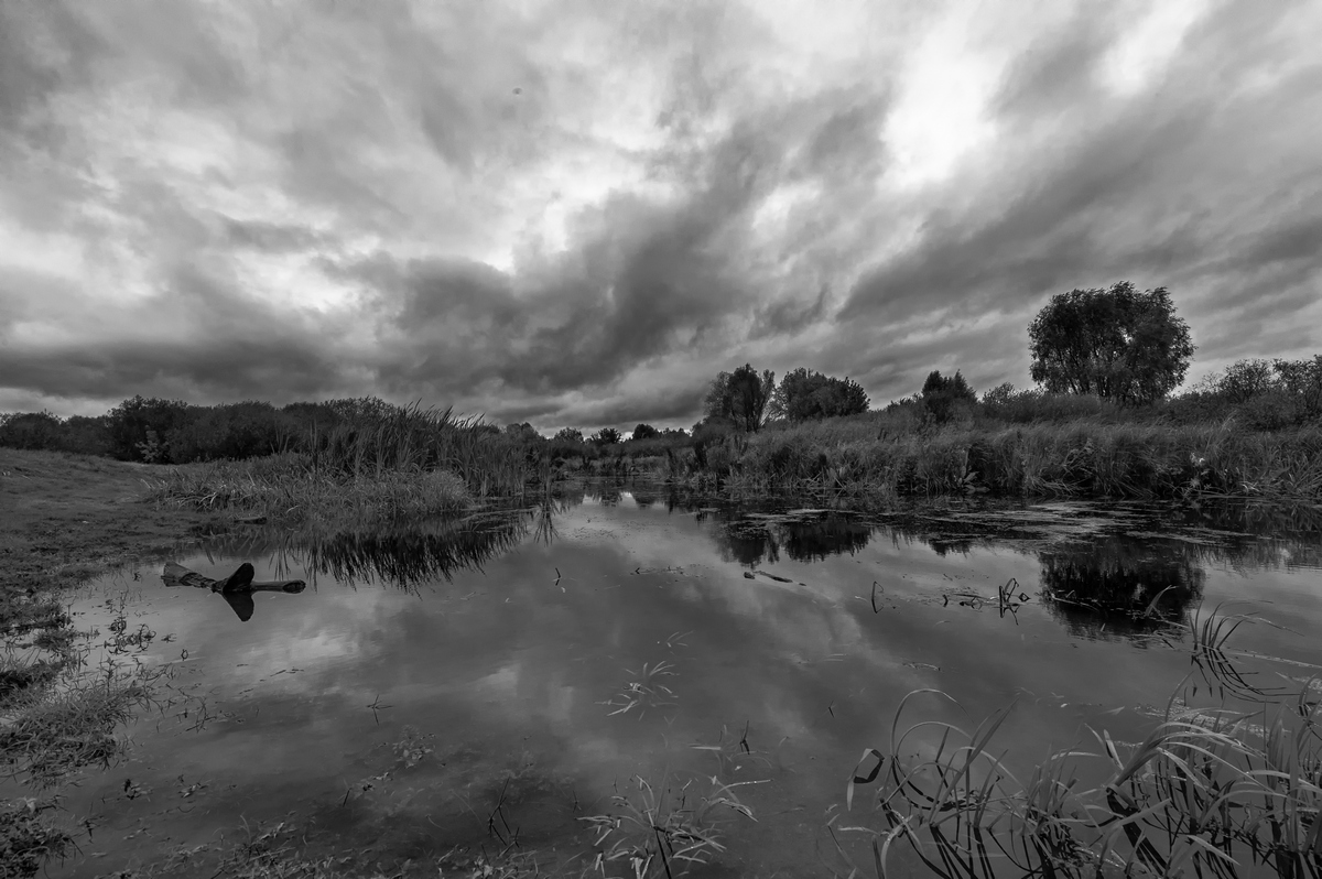 дождливая осень...