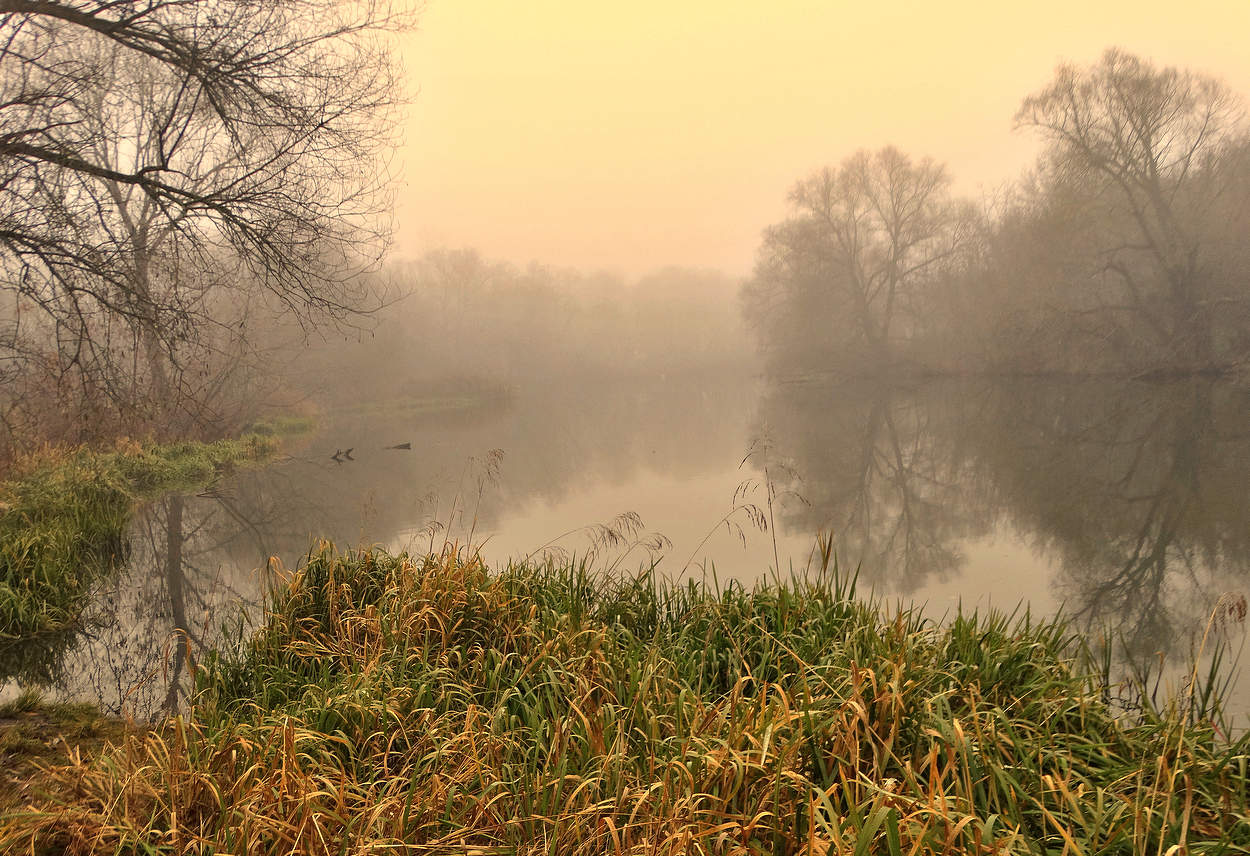 Туманная мокрая осень