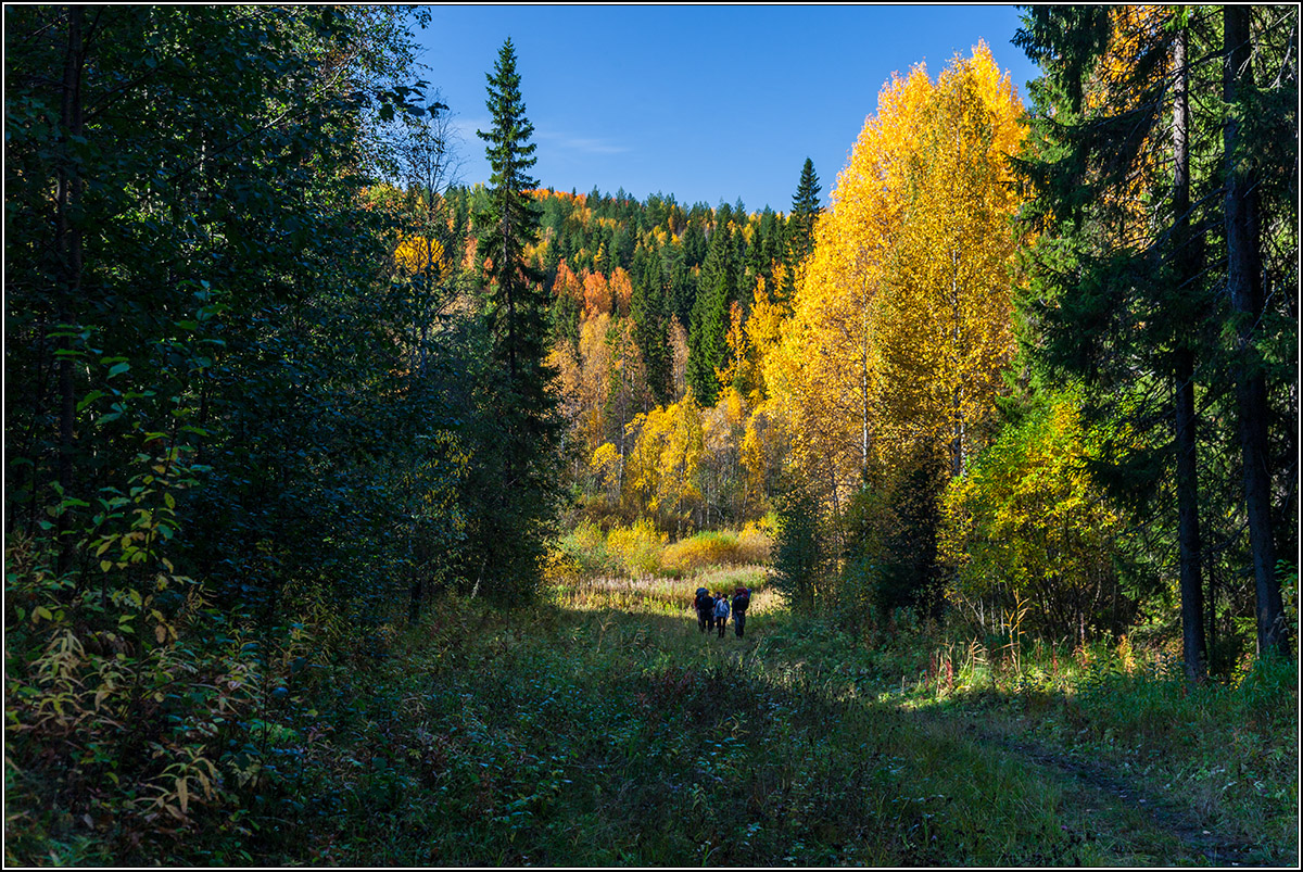 Золотая пора, золотая.