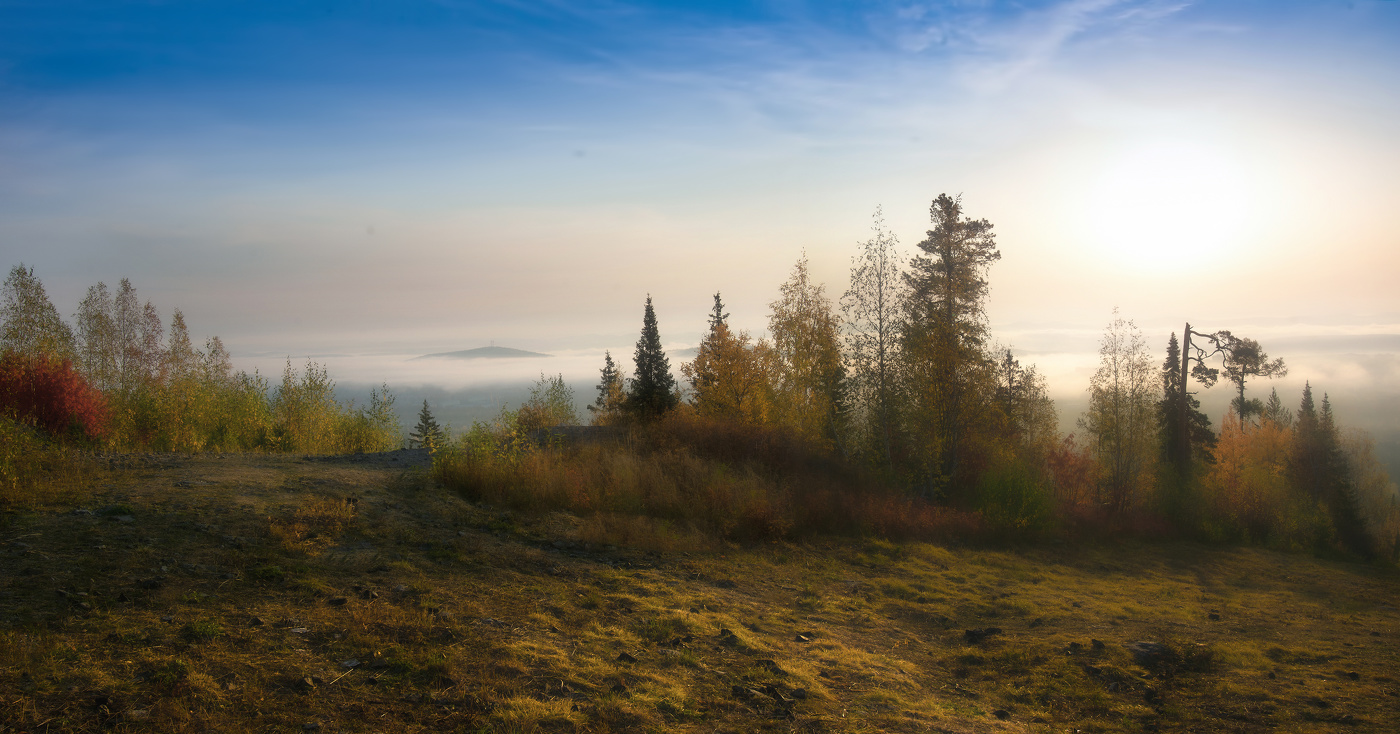 Утро туманное