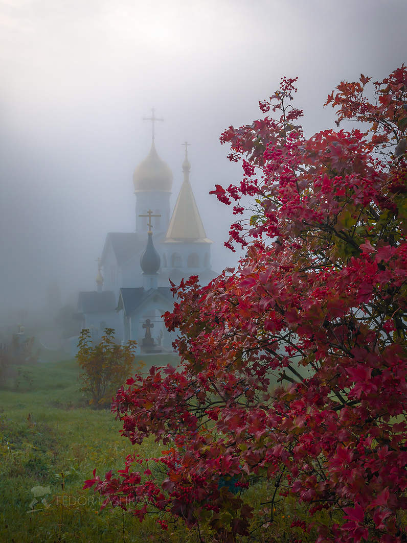 Калина на фоне храма
