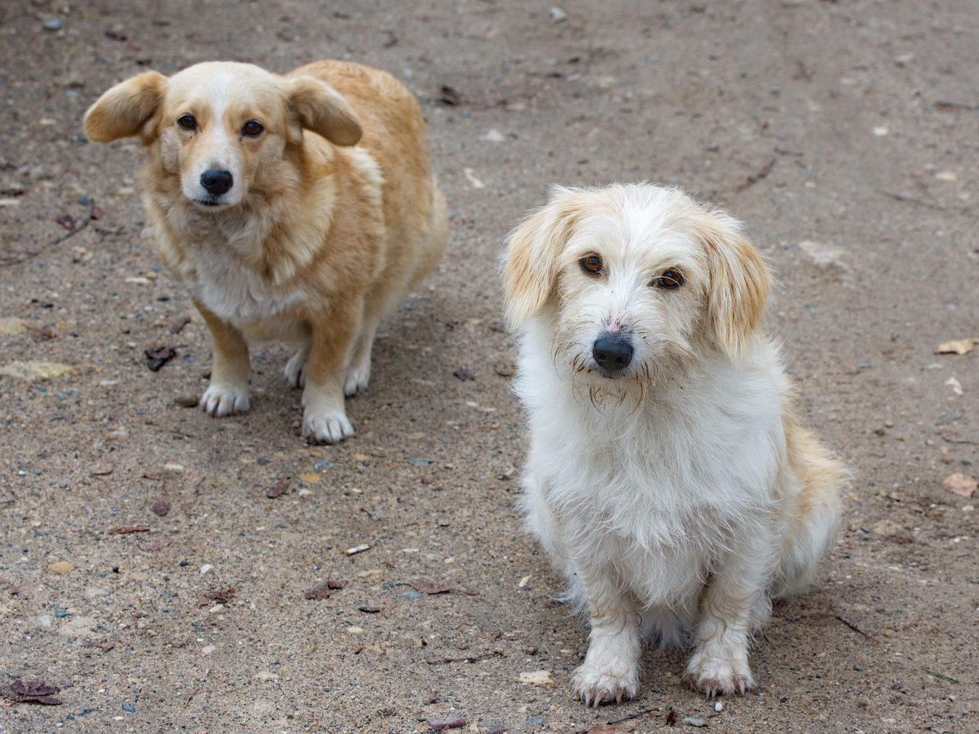 В северной деревне.