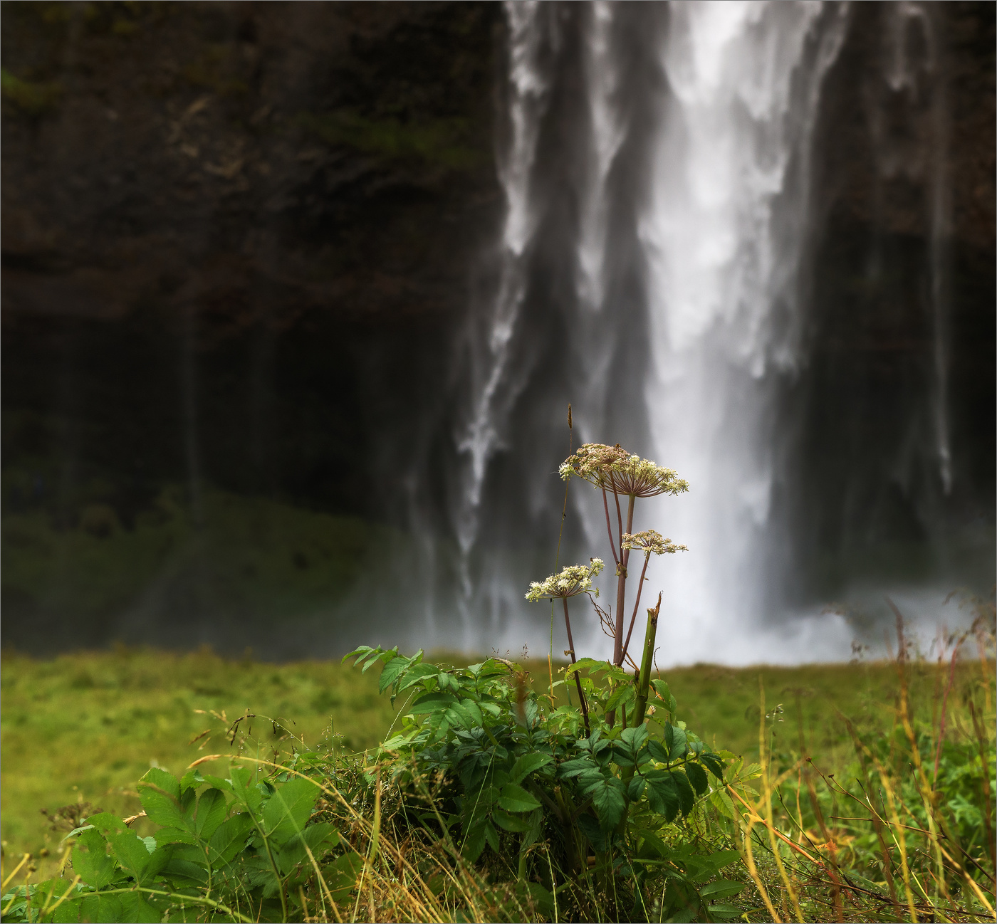 На фоне водопада Сельяландсфосс