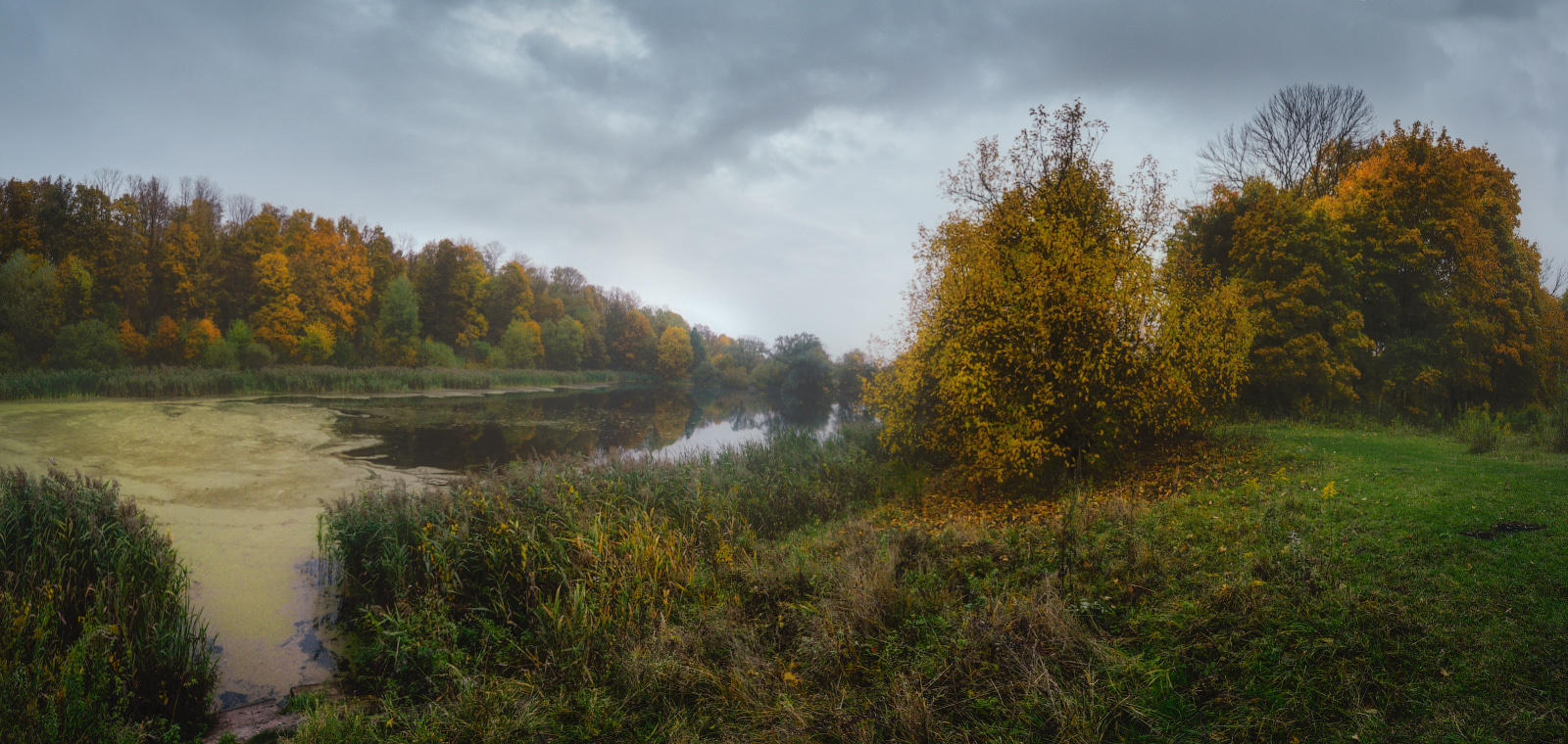 Осень в Петушках
