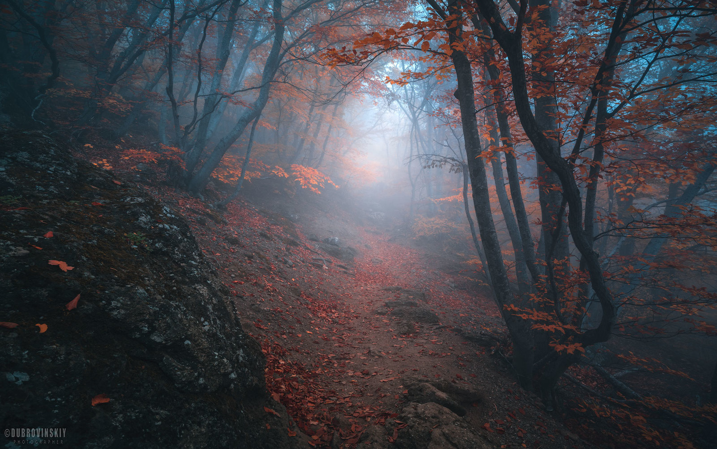 Тропами осени