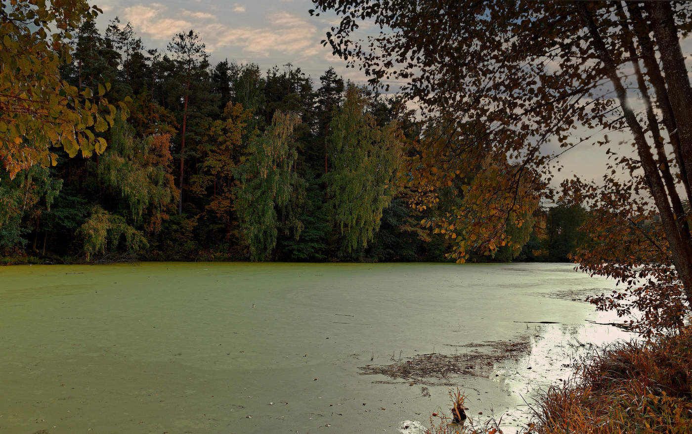 Печальный пруд.