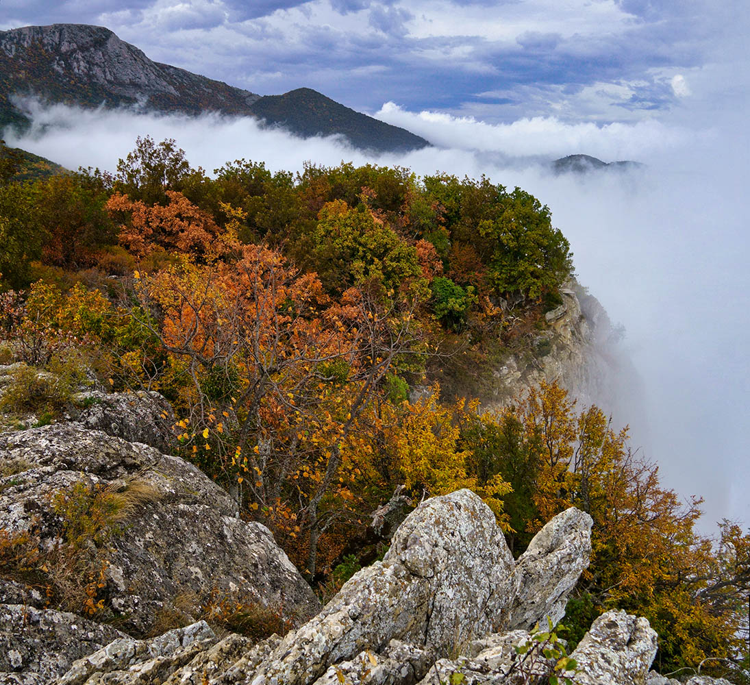 Заоблачное