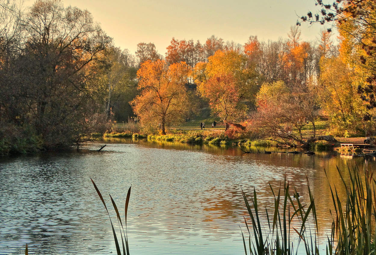 Погожий вечер на реке