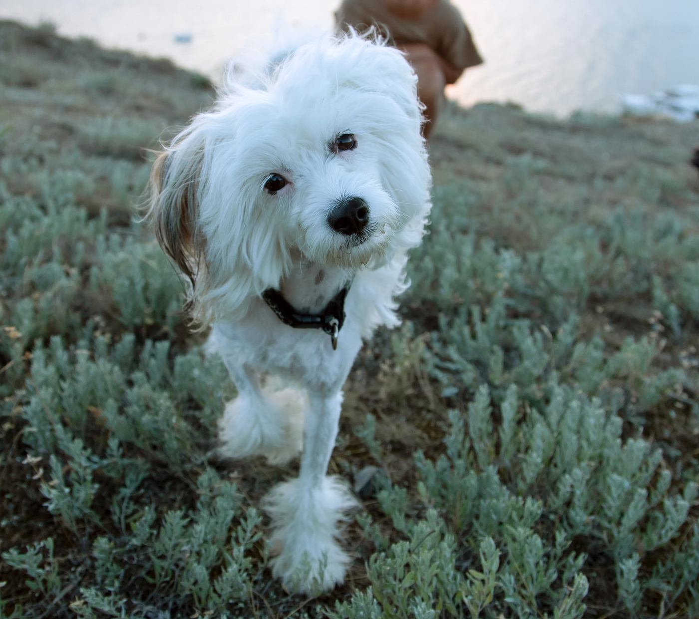 Давай знакомиться)