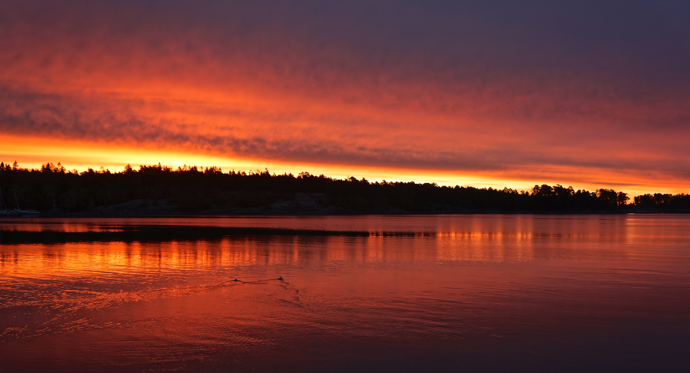 Тревожная заря