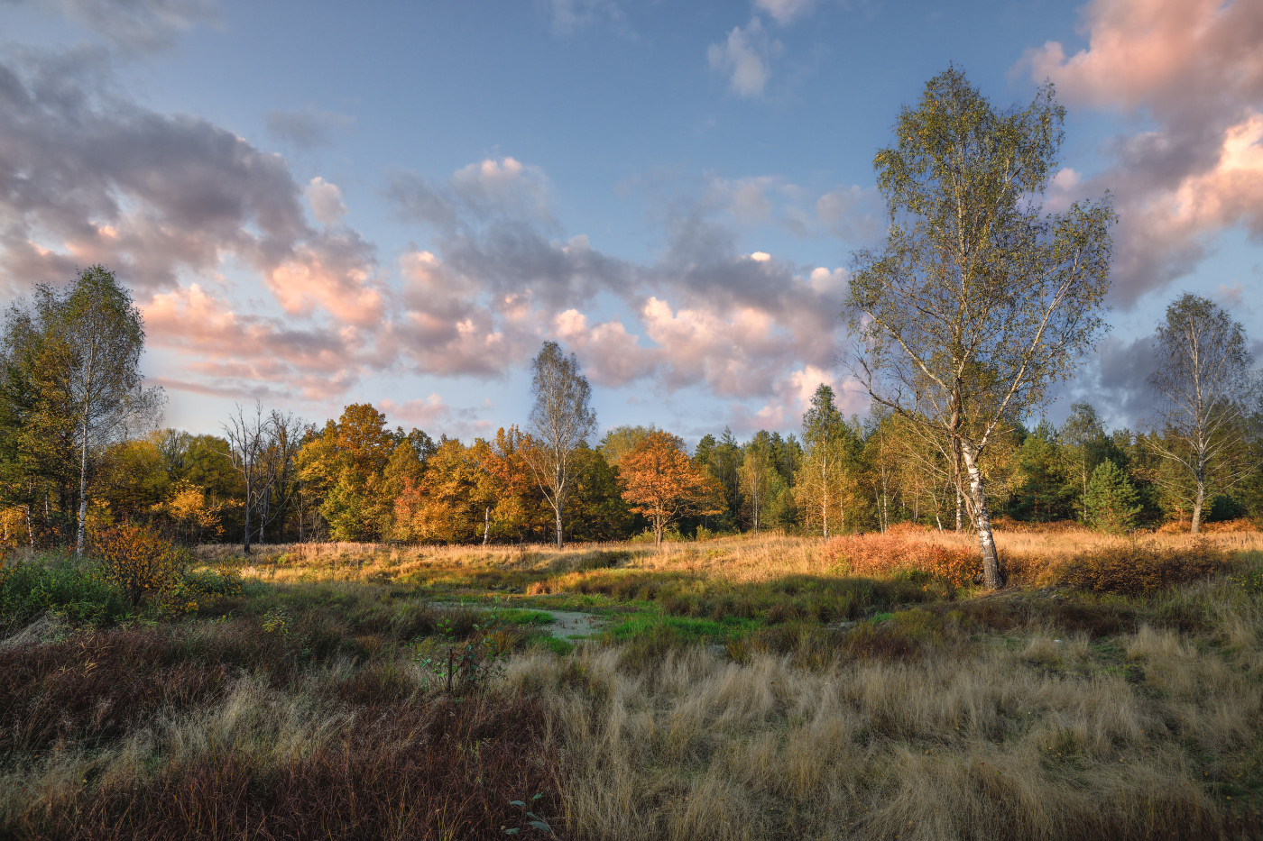 осенний вечер