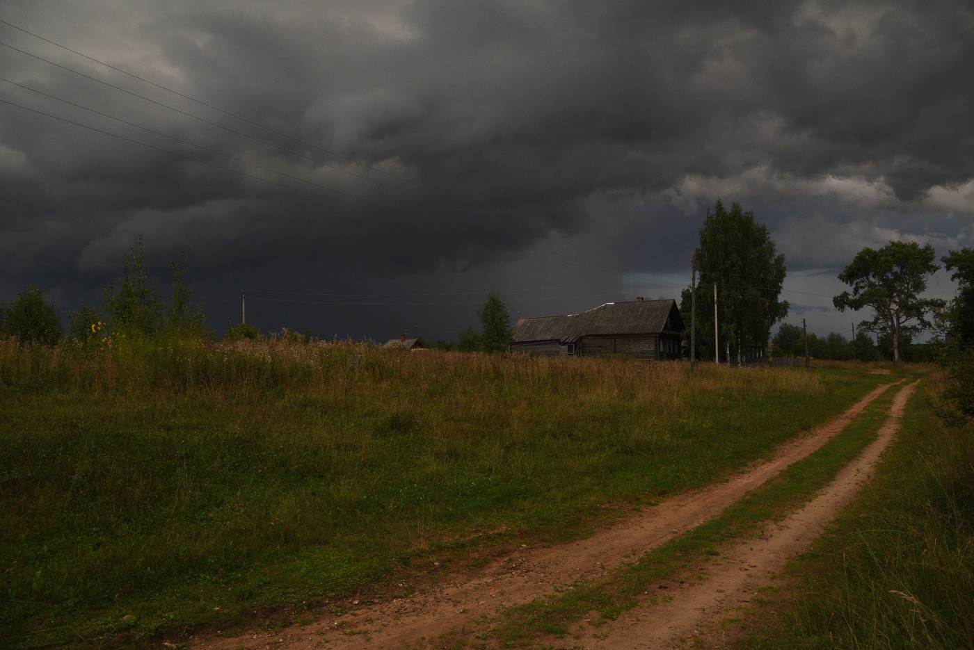 "Земля немела и ждала, прошло глухое рокотанье..."