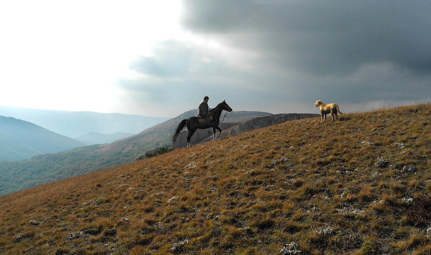 Всадник и собака