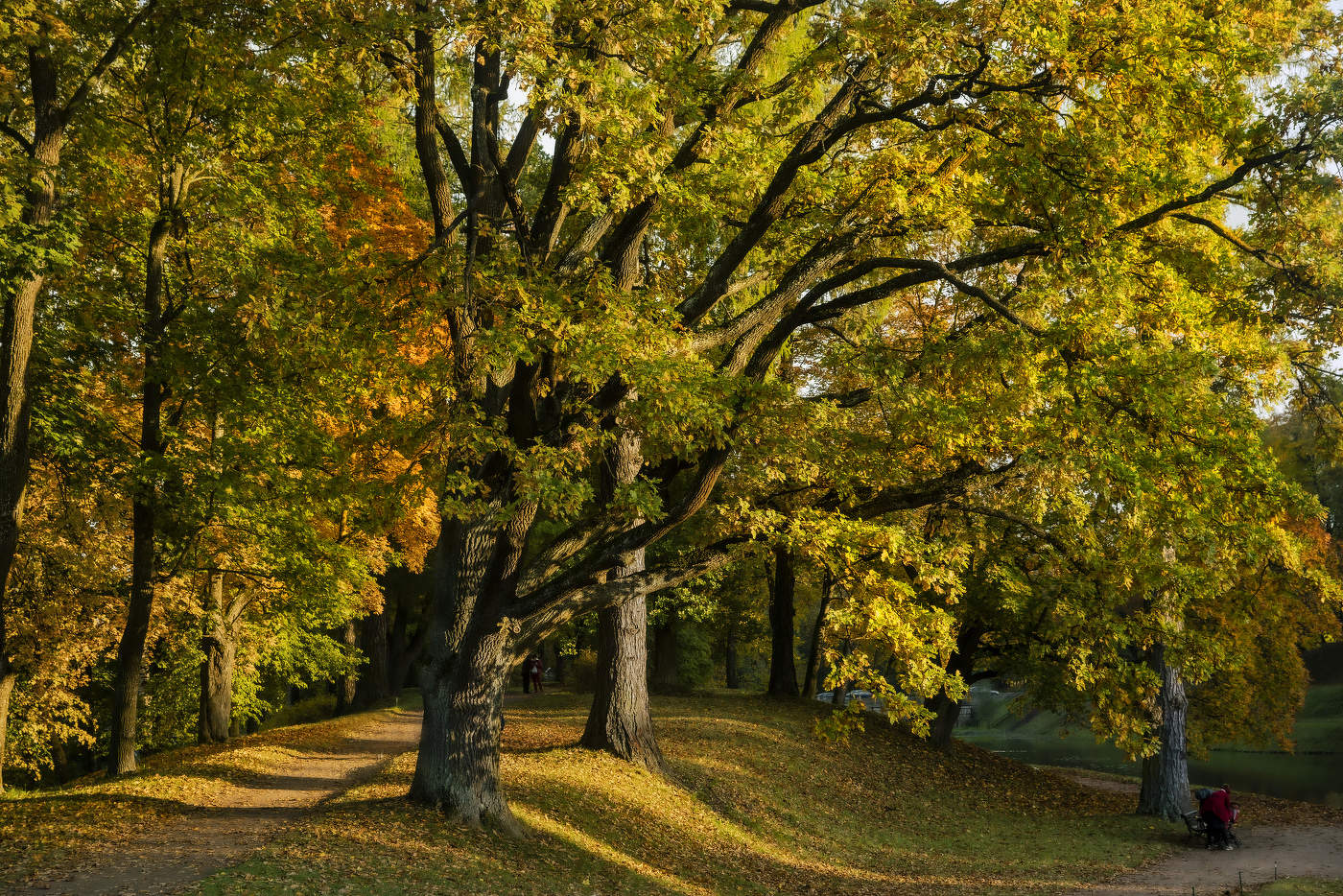 Золото осени