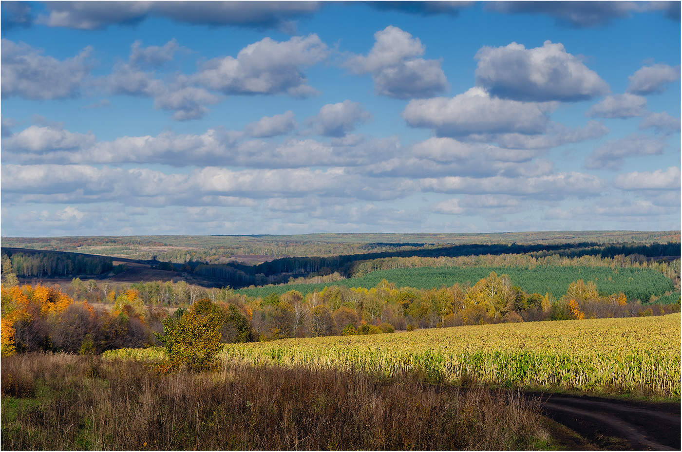 Без названия ибо оно и так всем понятно