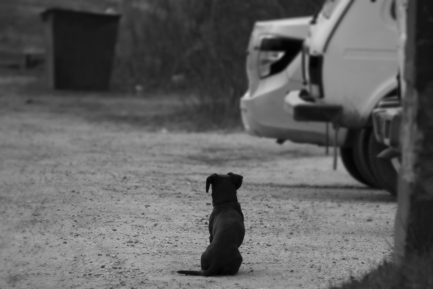 На перепутье