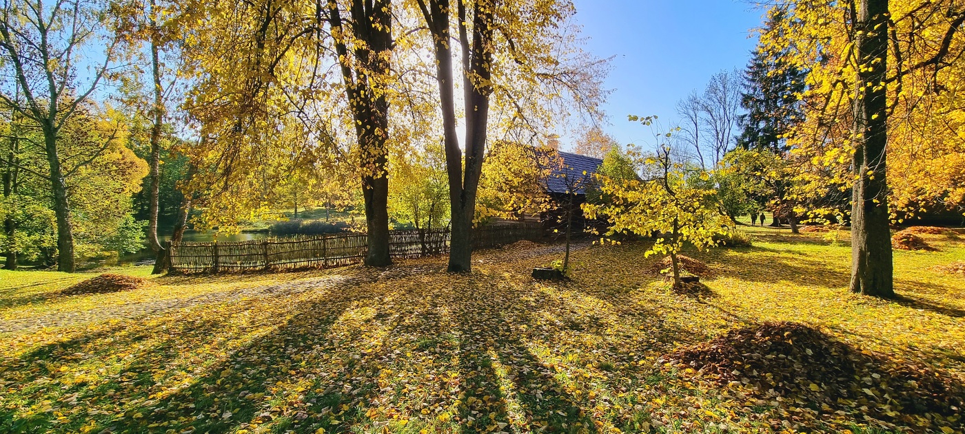 Под осенними лучами...