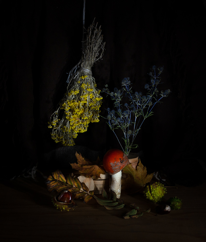 С мухомором