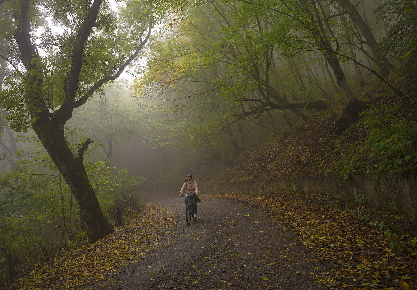 Осенняя прогулка