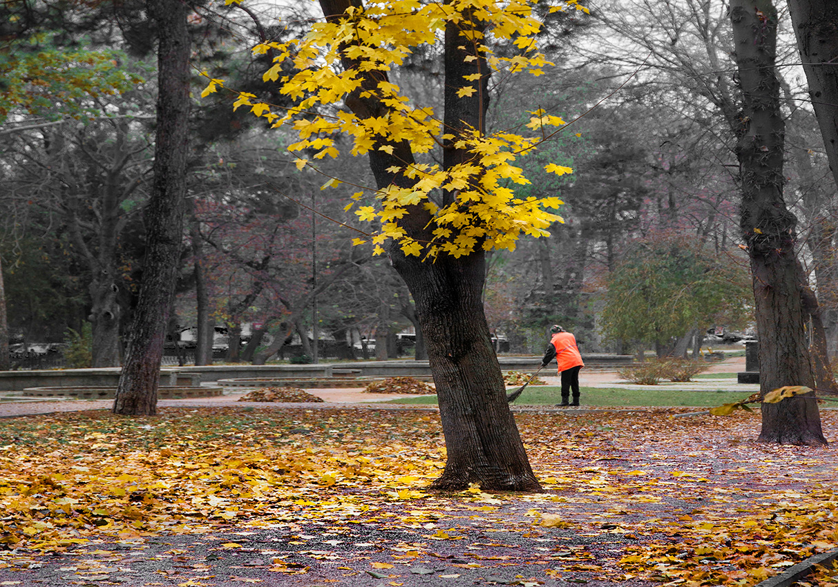 Сезонная красота