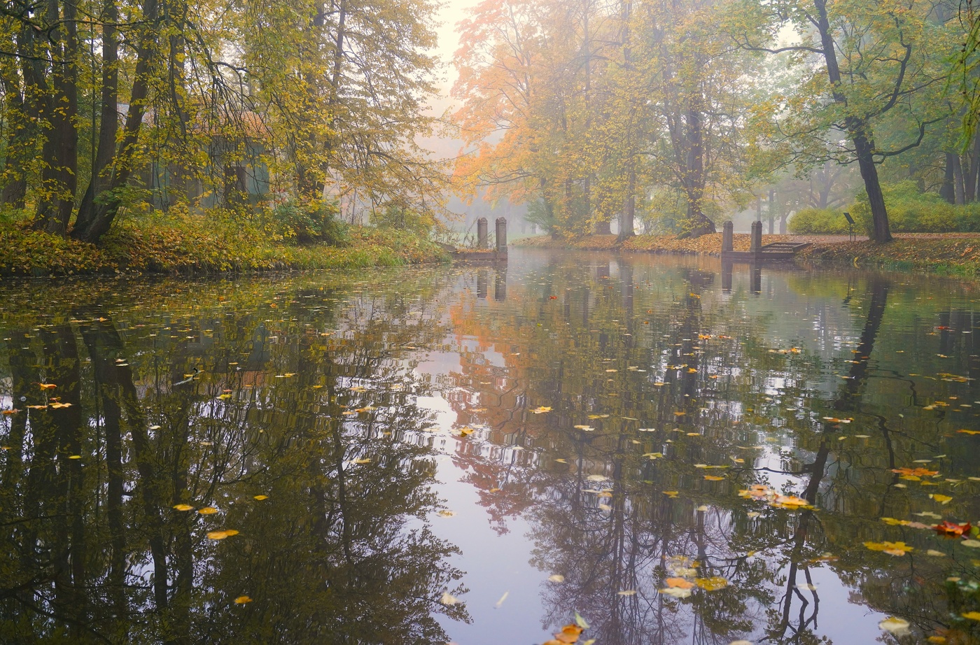 Осеннее утро