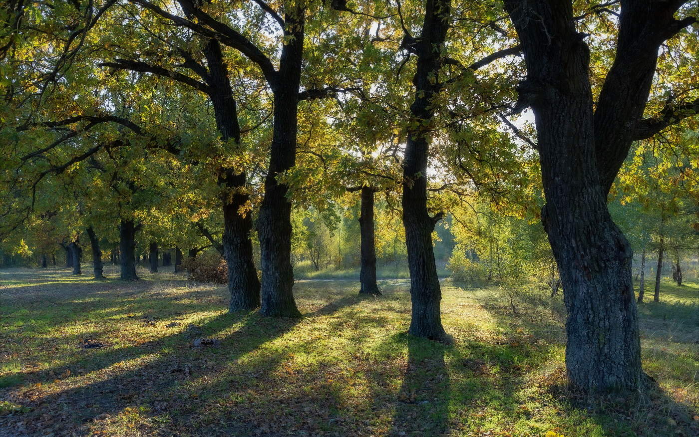 Ходит по лесу Осень...