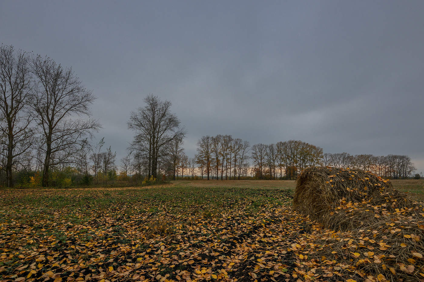 Поздняя осень...