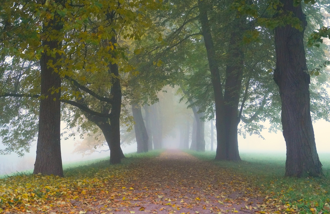 Осеннее утро