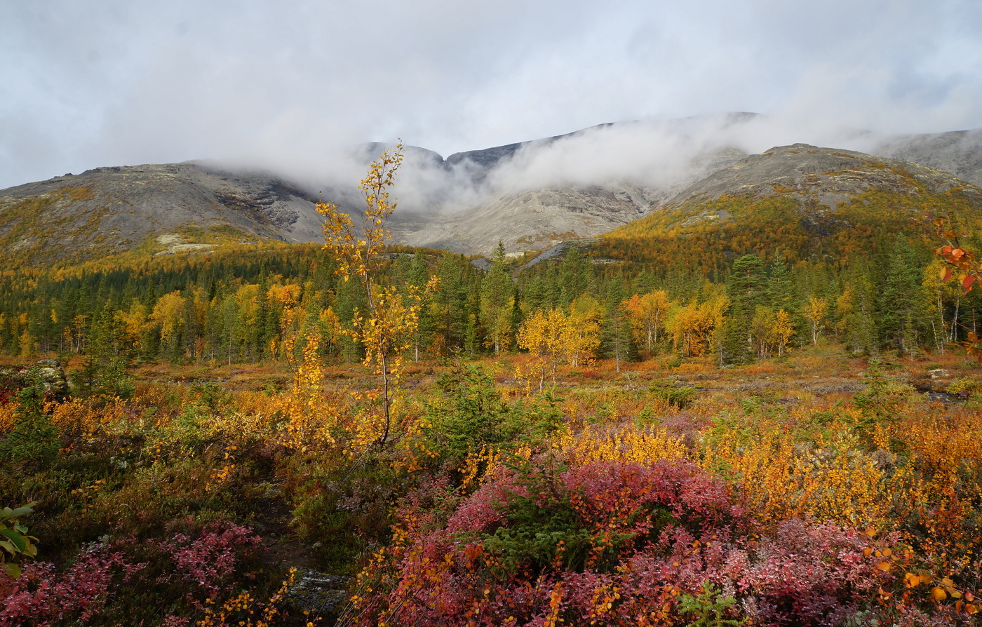 Короткая, но дивная пора...