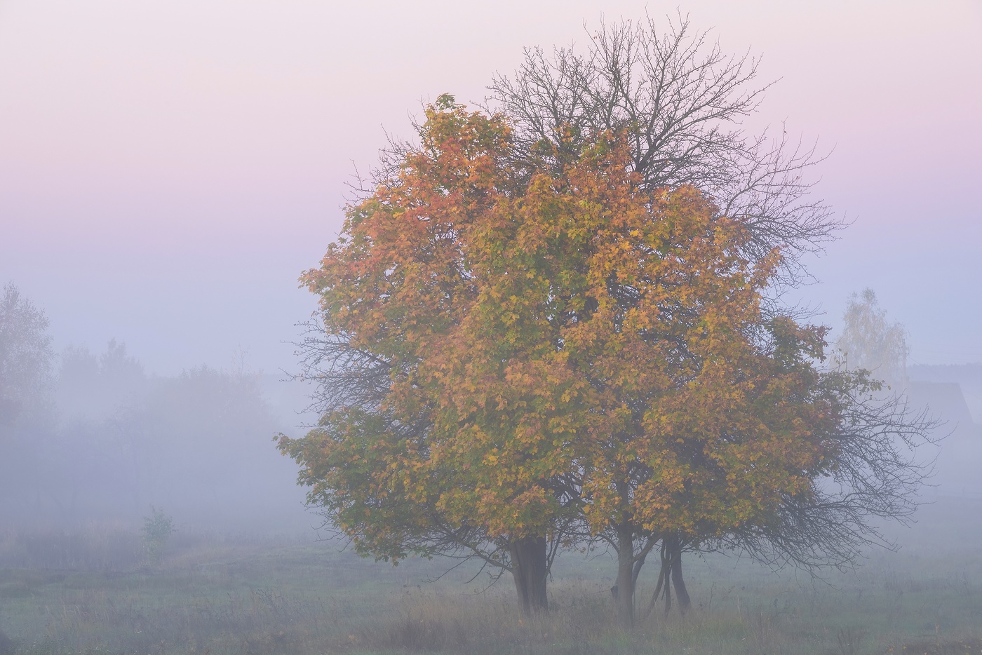 утро октября