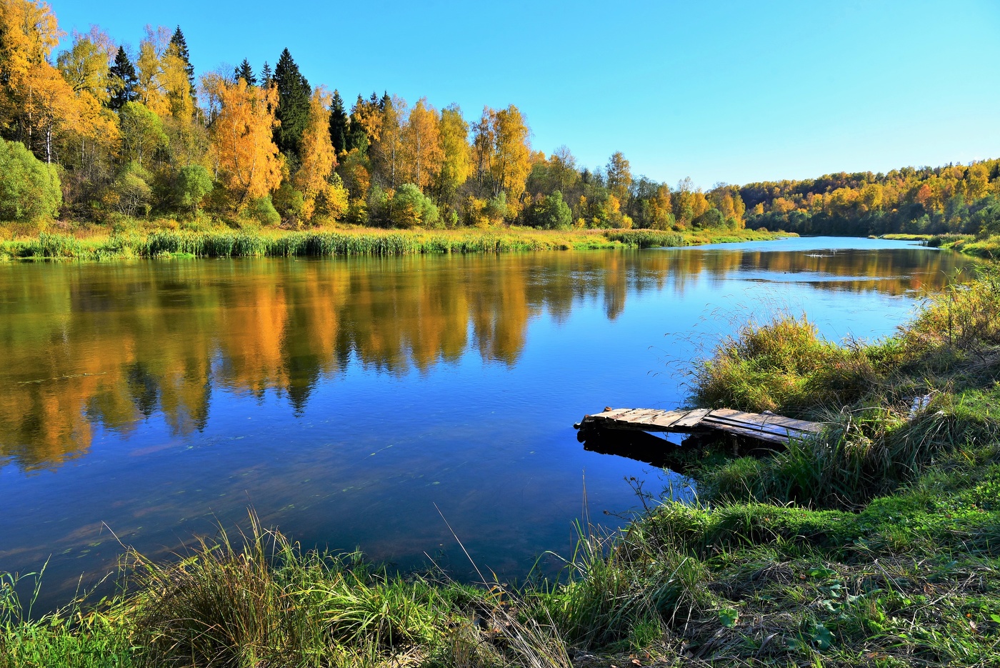 "А знаешь желтеют листья, в красивом моем октябре..."