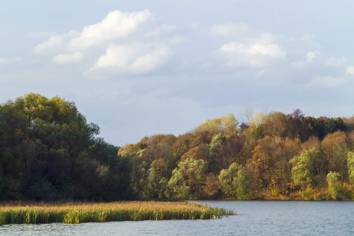 Золотая осень 2022