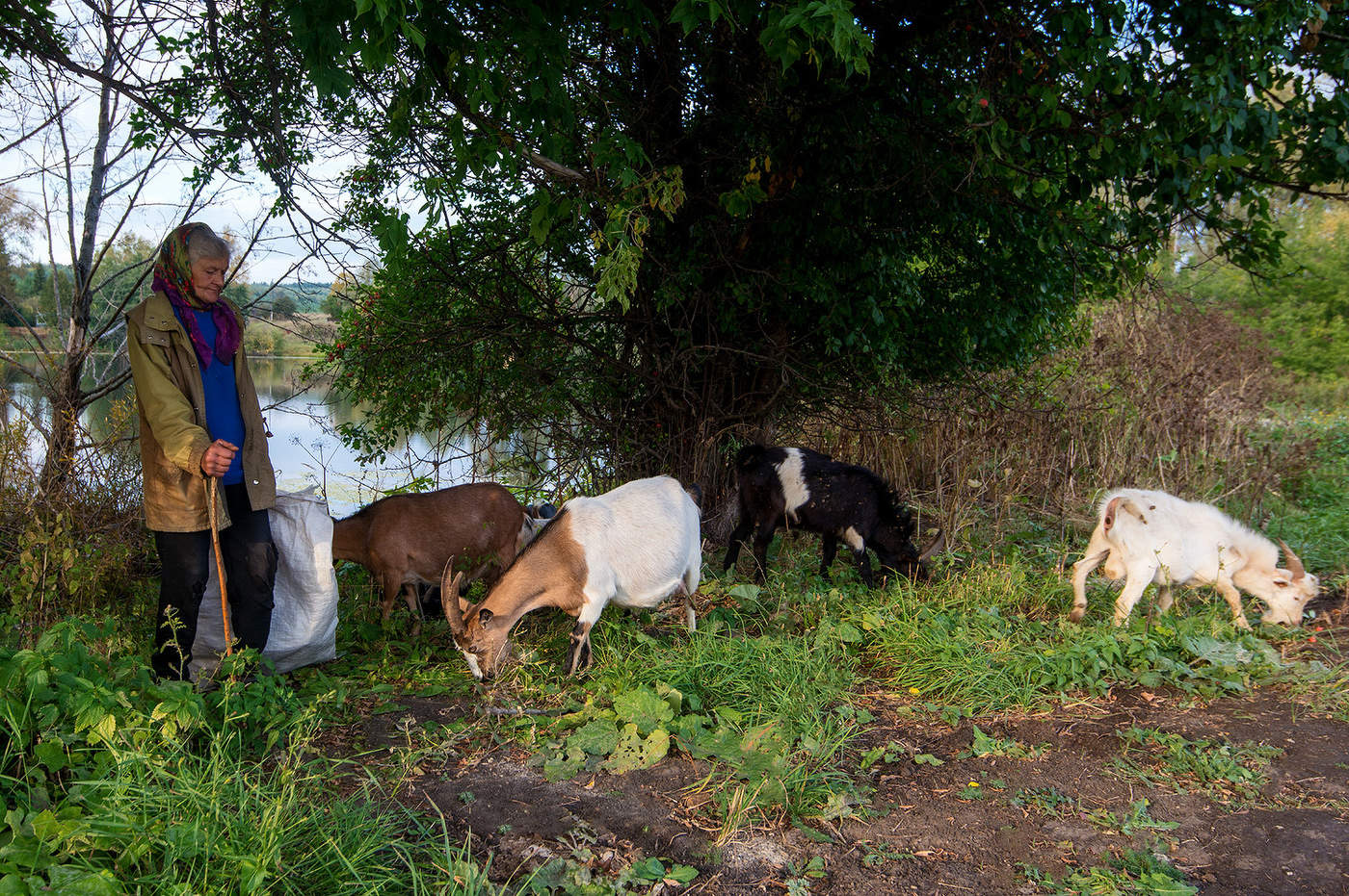 Провинция...