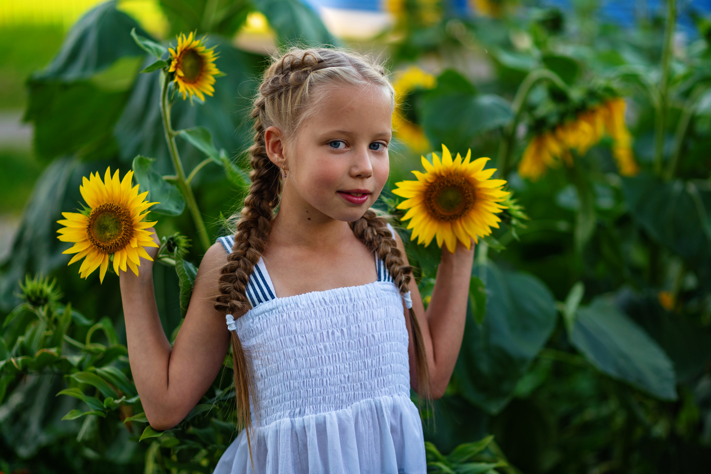 Солнечные осколки