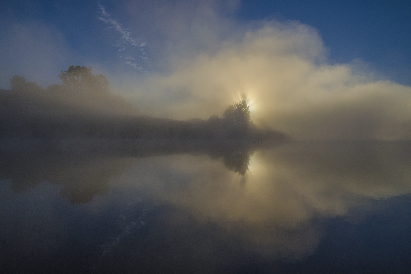 Свет в тишине