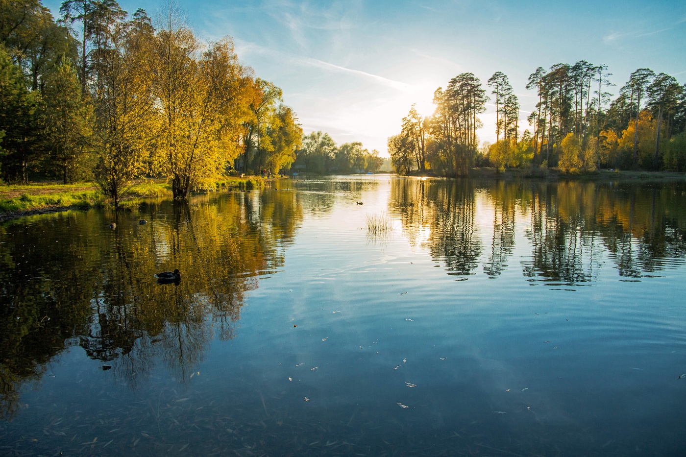 о.Малое лебяжье,Татарстан