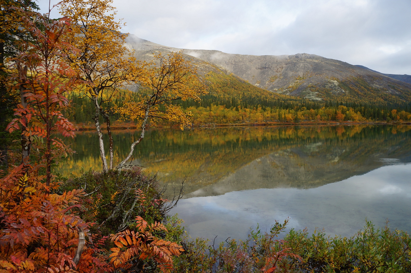 Янтарный берег