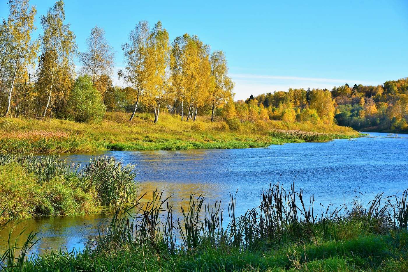 "Вот и стали желтыми березы, солнце льет прощальное тепло..."